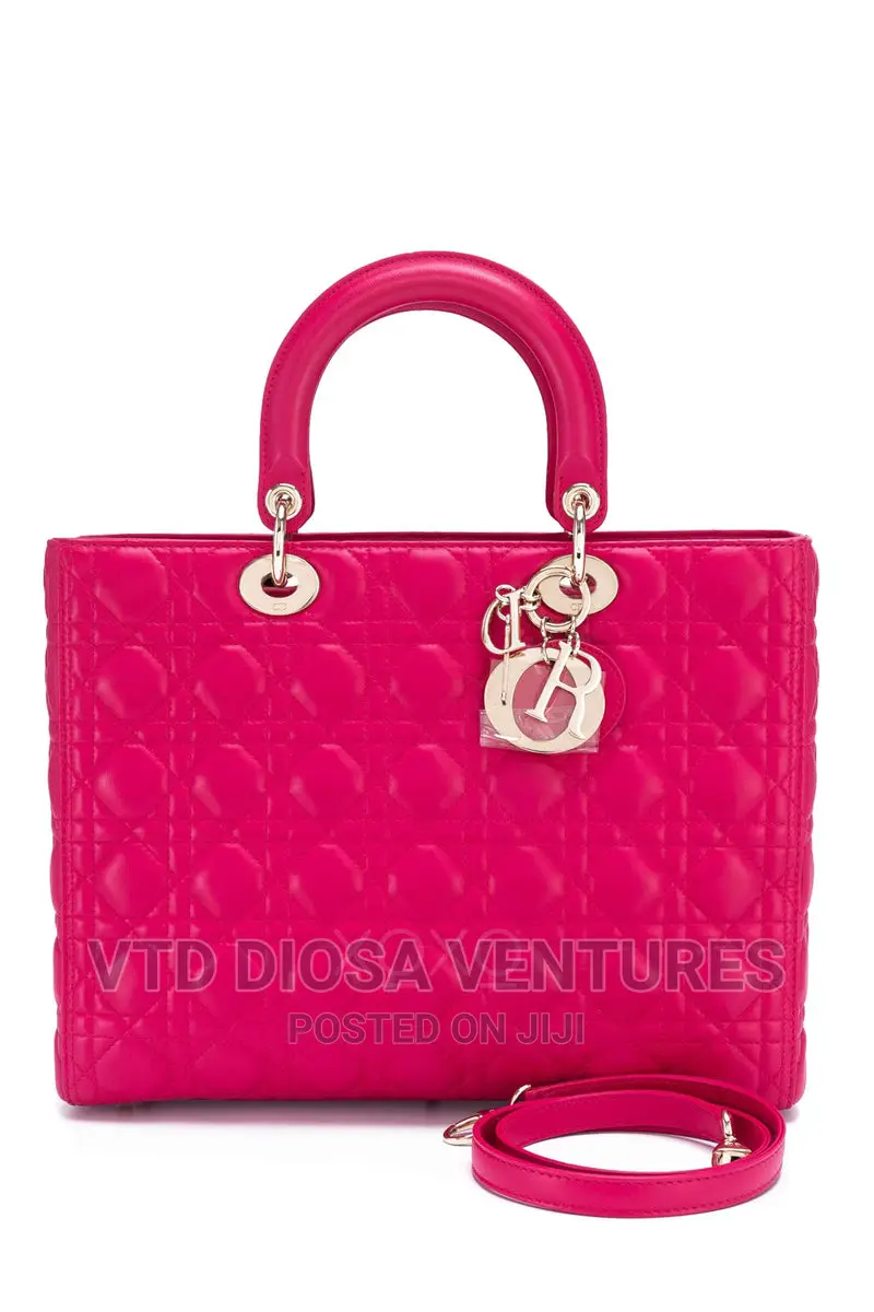 Christian Dior Hand Bag