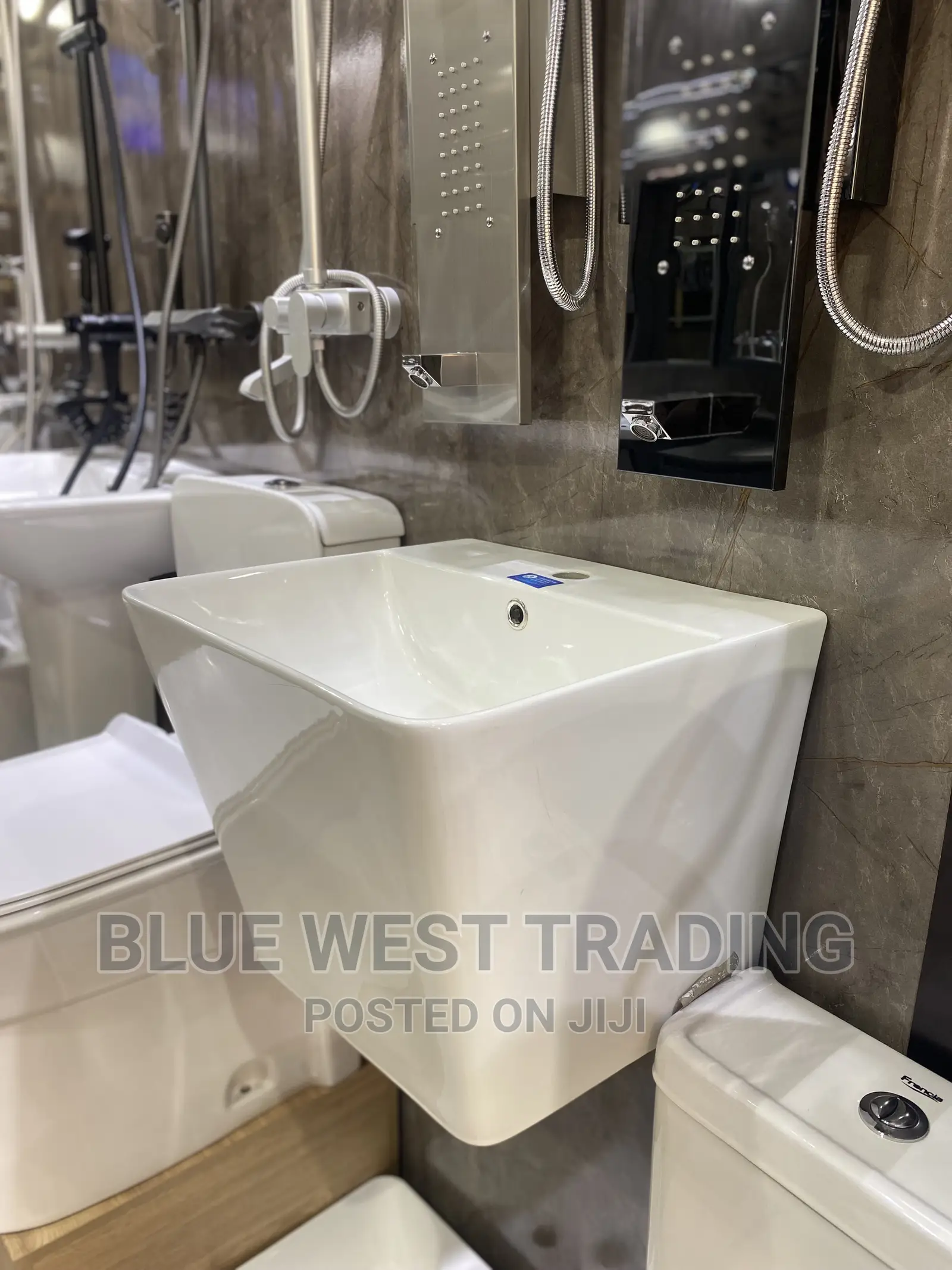 Wall Hung Washand Basin