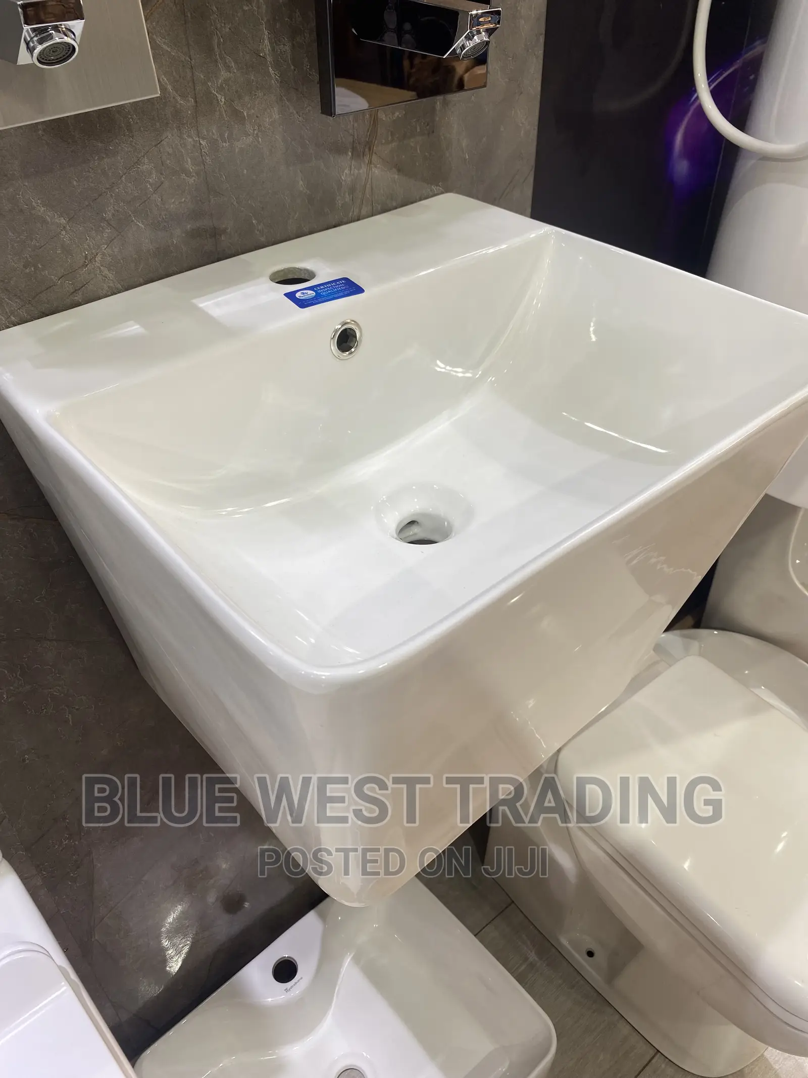 Wall Hung Washand Basin