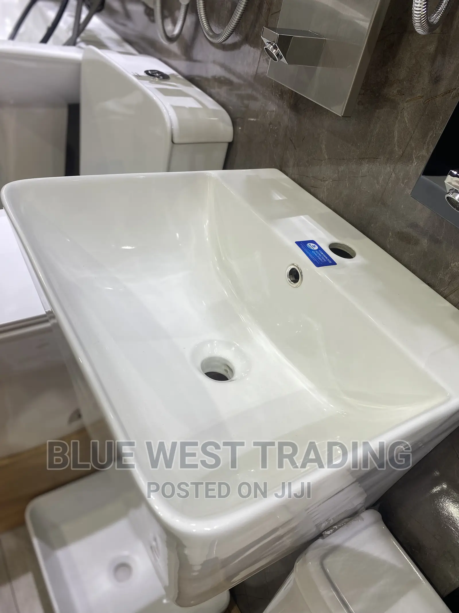 Wall Hung Washand Basin