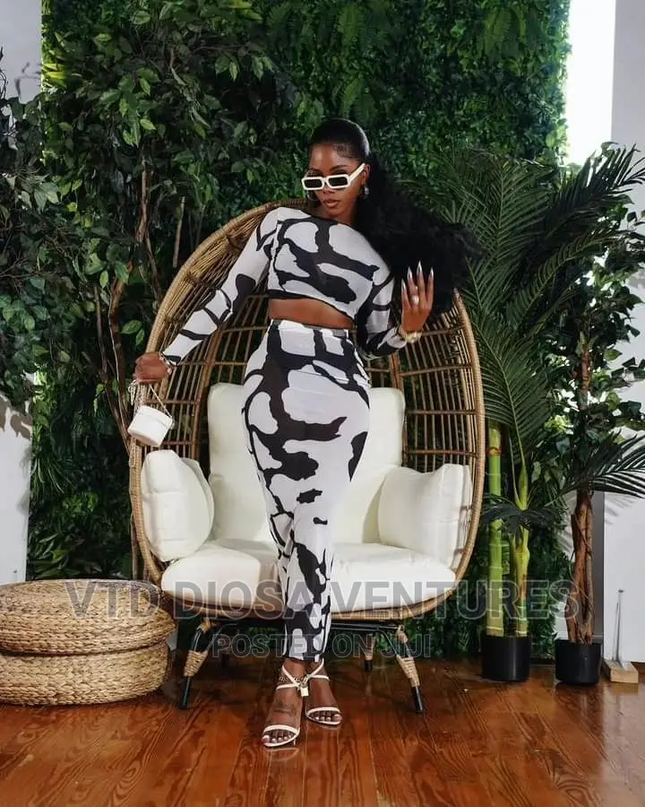 Stylish Mesh Dresses