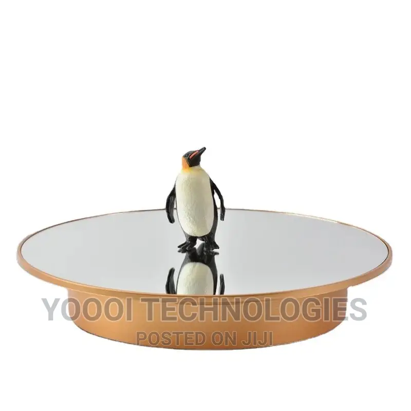 32cm Mirror 360degree Rotating Turntable Photo Display Stand