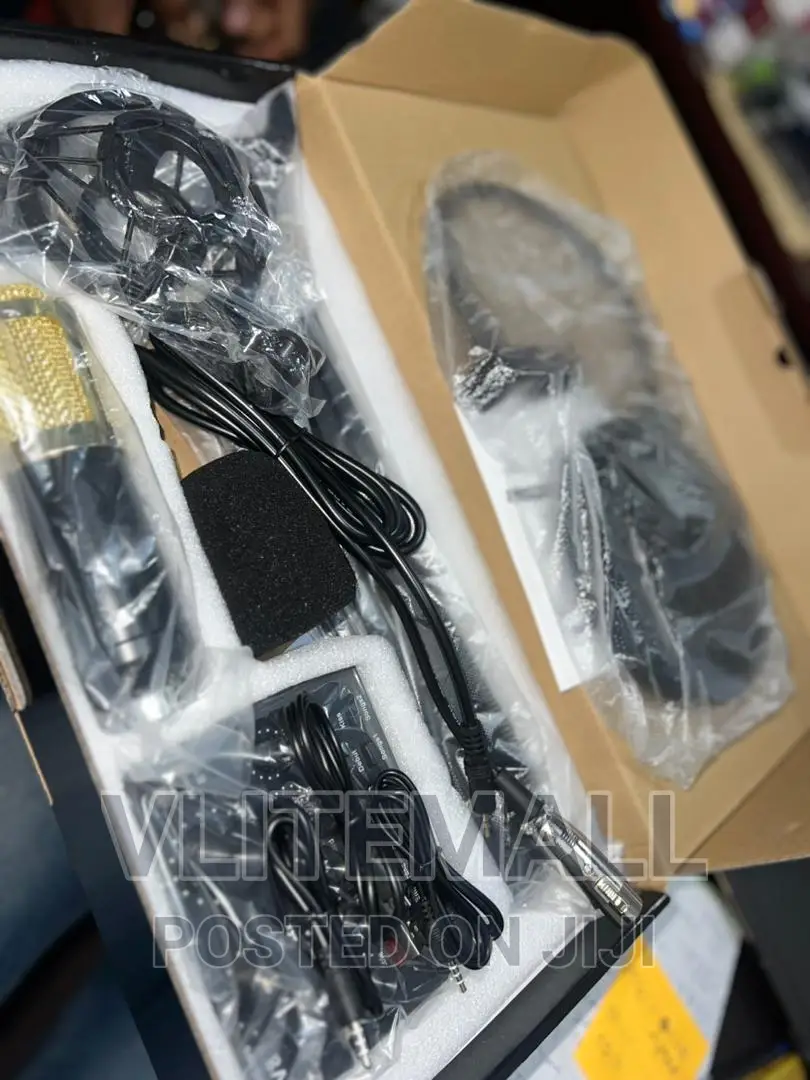 Professional Condenser Microphone (Set)