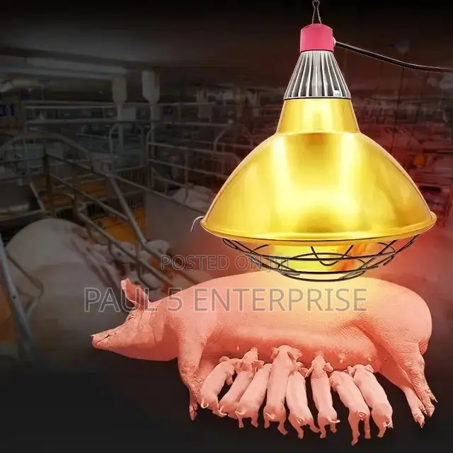 Heater Shade Lamp for New Born Piglet and Poultry Farmers