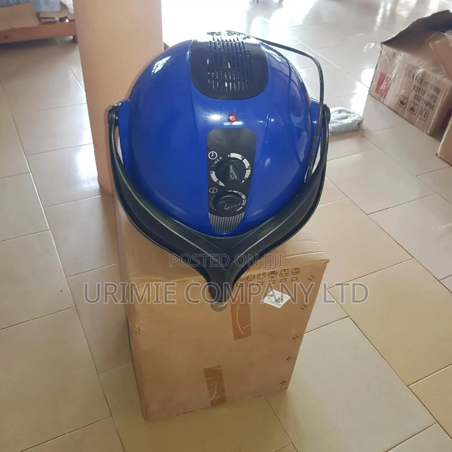 Wall Mount Blue Mango Hairdryer
