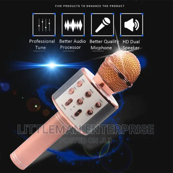 Handheld Karaoke Microphone