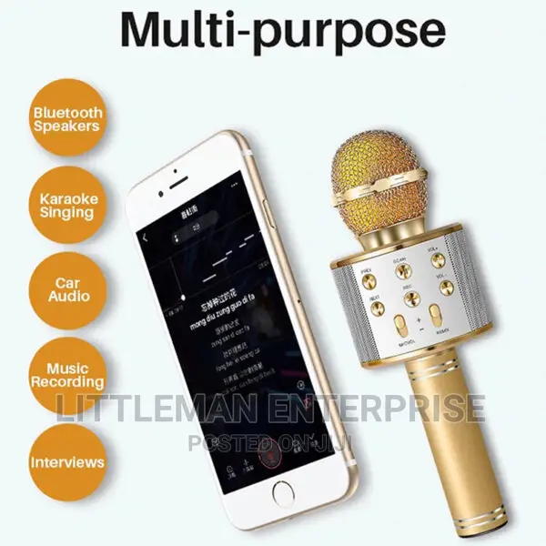 Handheld Karaoke Microphone