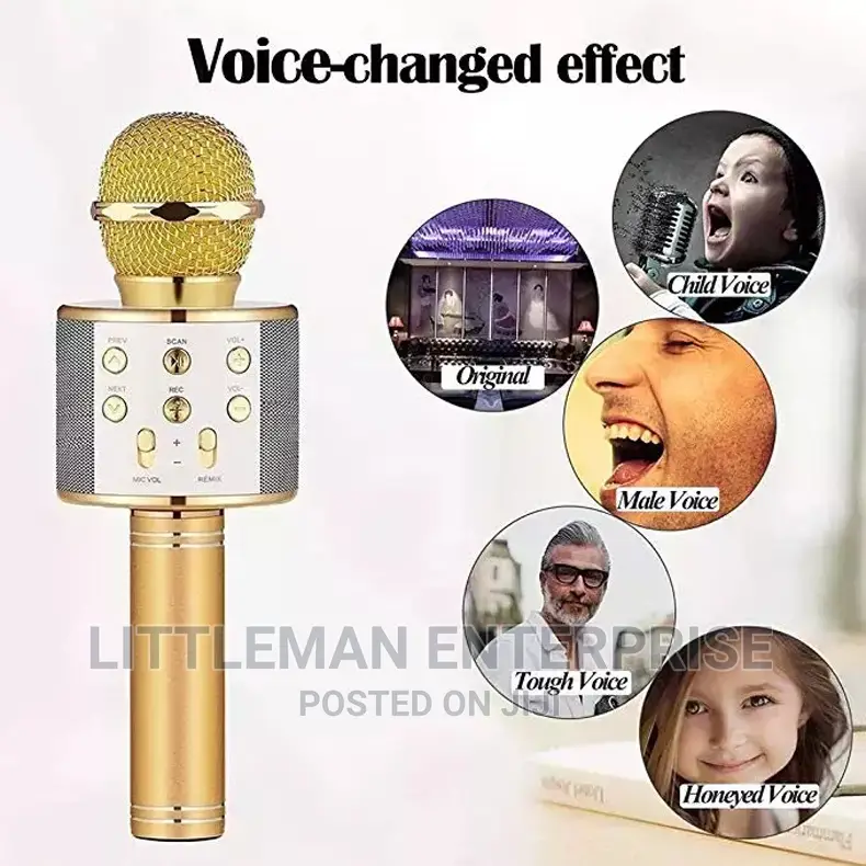Handheld Karaoke Microphone