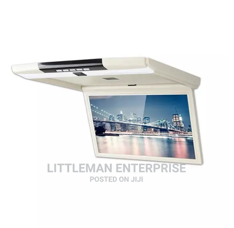 Car Player Multimedia Roof Mount Display