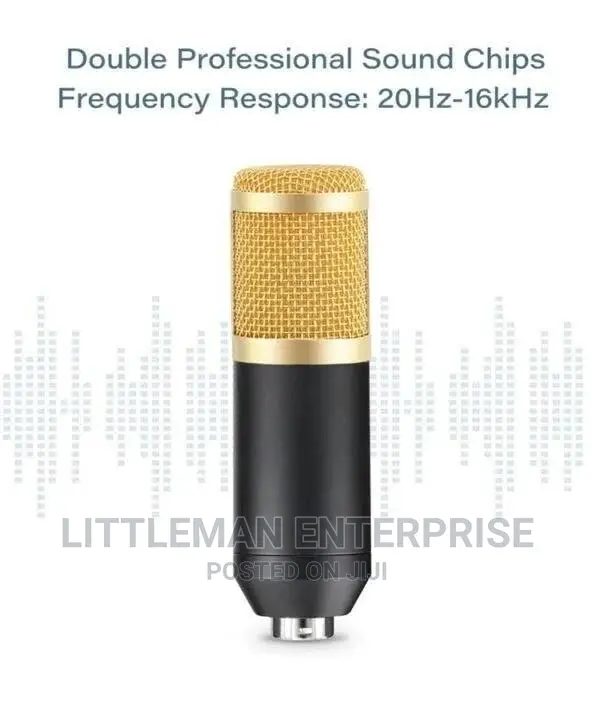 Studio Radio Professional Condenser Microphone