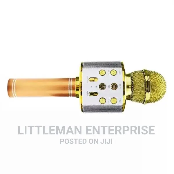 Karaoke Microphone