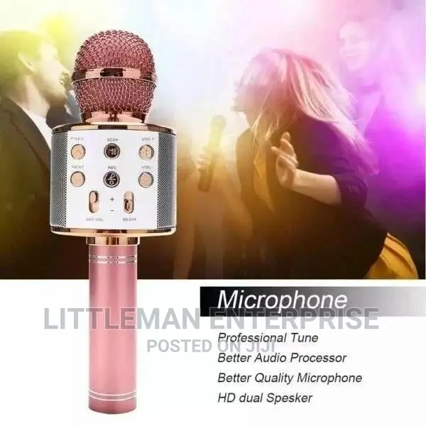 Karaoke Microphone