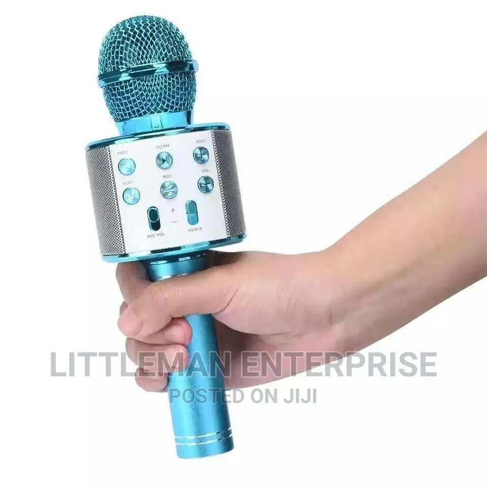Karaoke Microphone