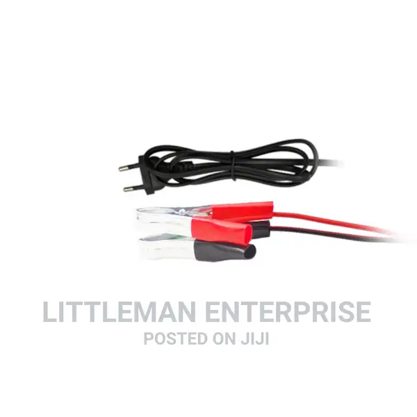 Car Motor Battery Charger