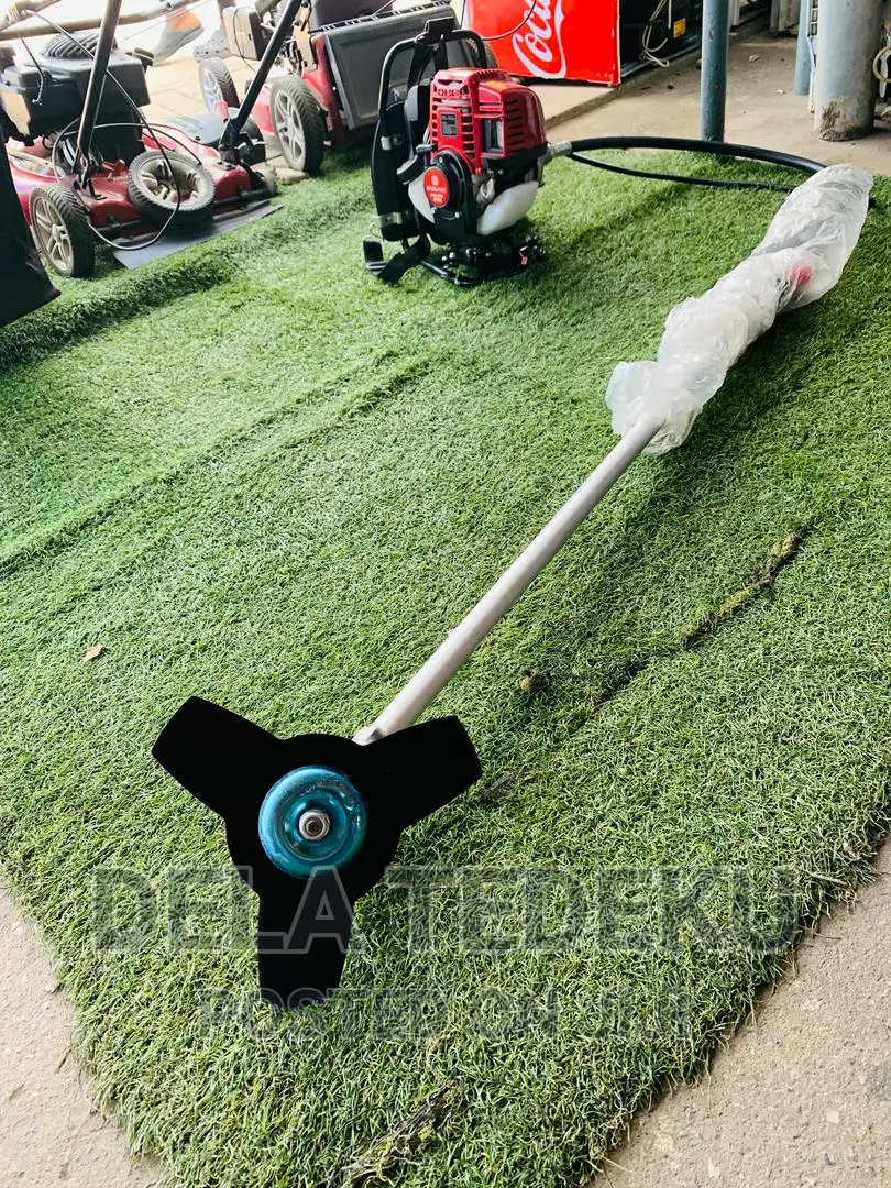 Ecoolmax 4-Stroke 35cc Backpack Brush/Bush Cutter/ at Caprice Bus Stop