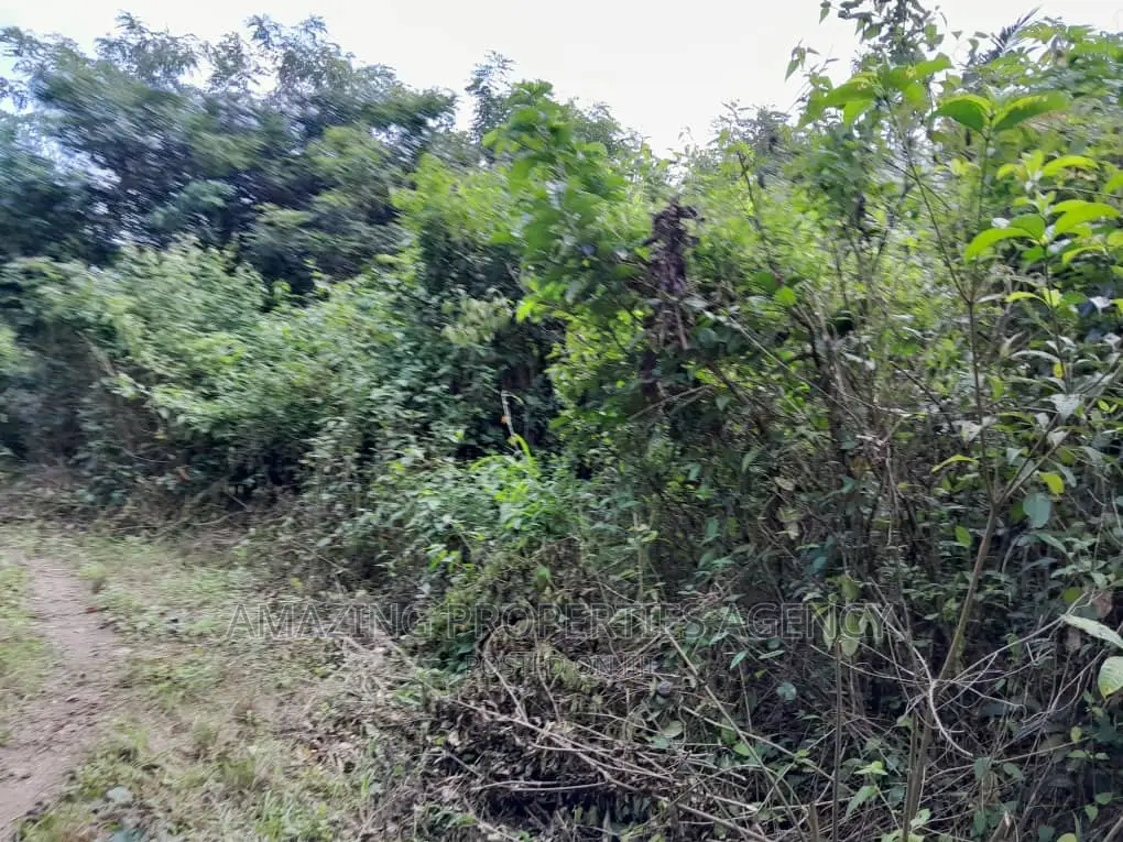 6000acres Land for Sale Asamankese Quashi Per Acre GHC 9000