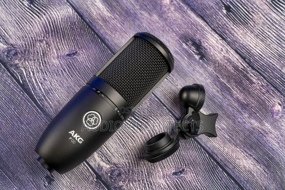 Studio Microphone AKG P120