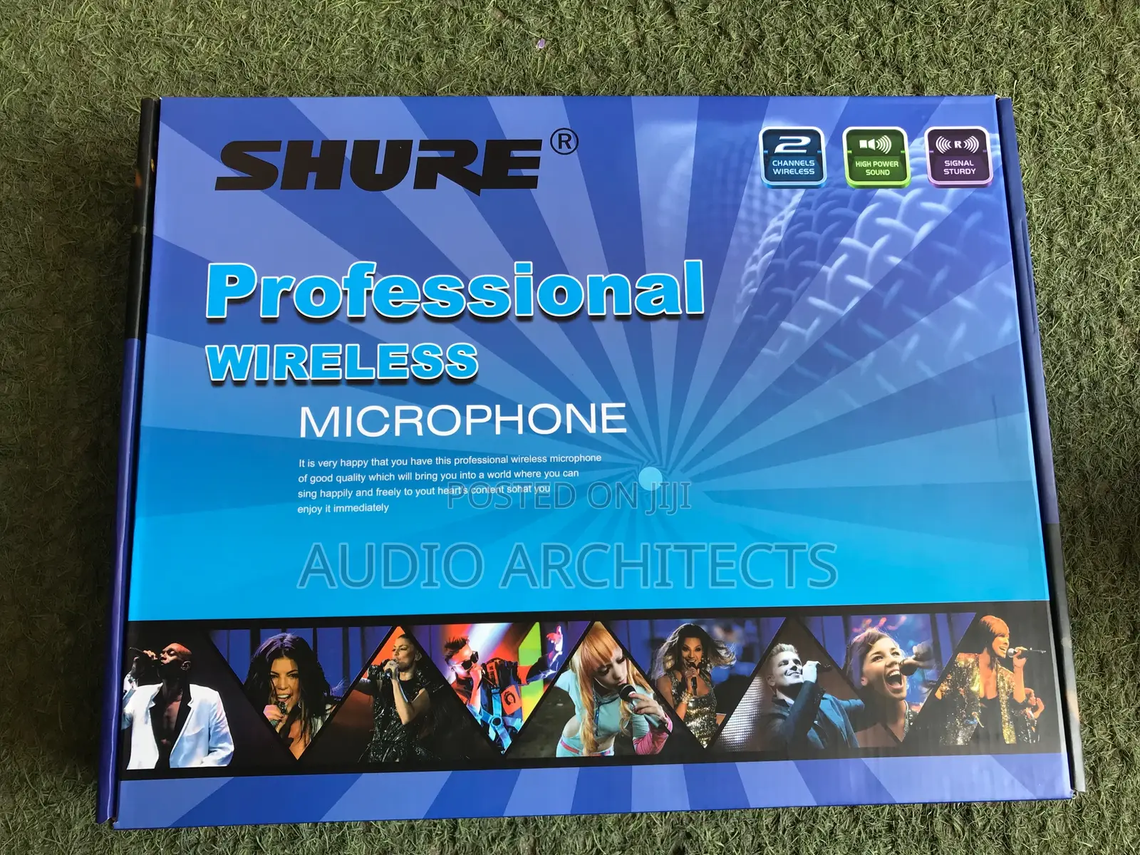Shure Professional Microphone