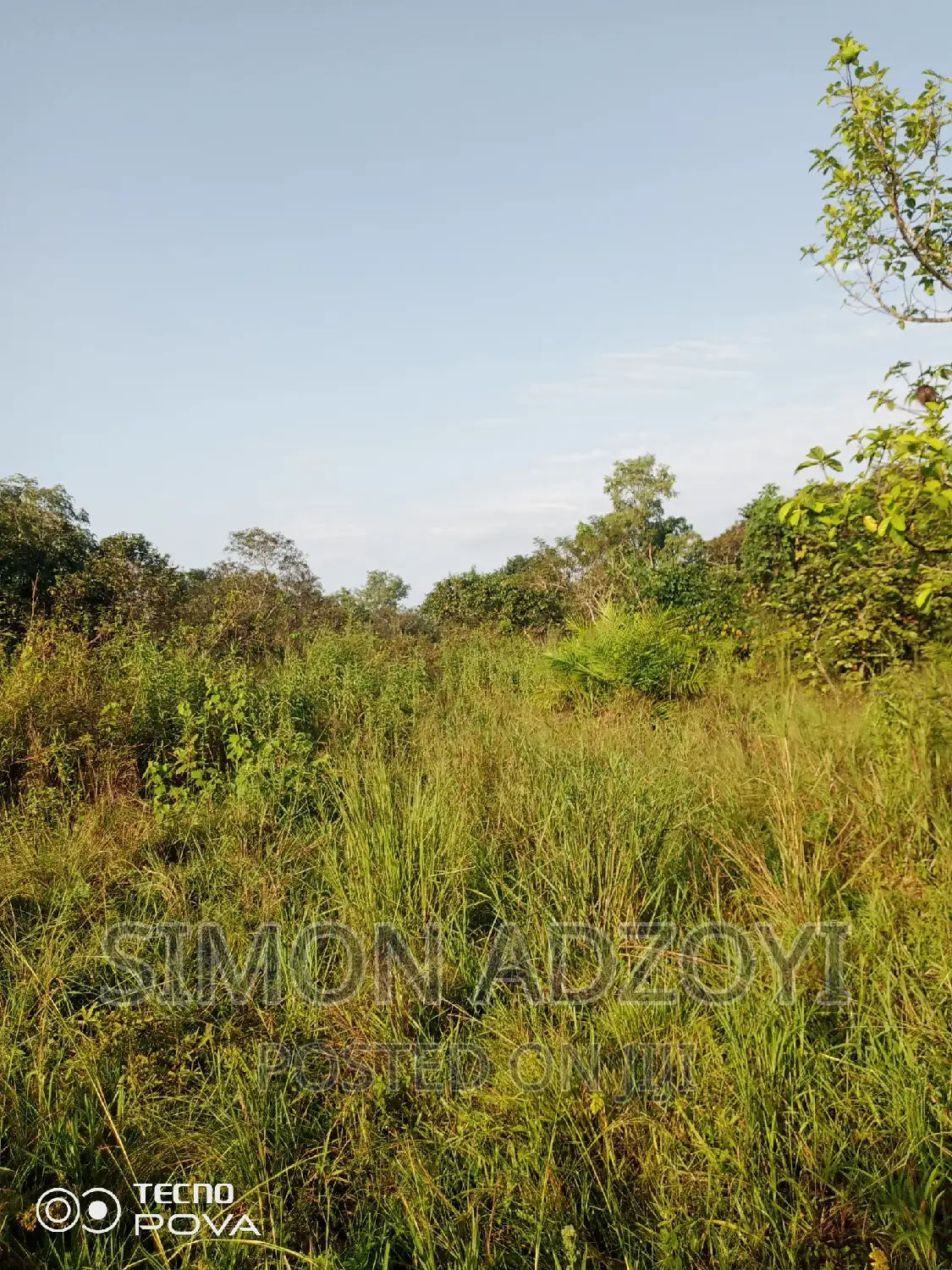 1000 Acres of Farm Land for Lease