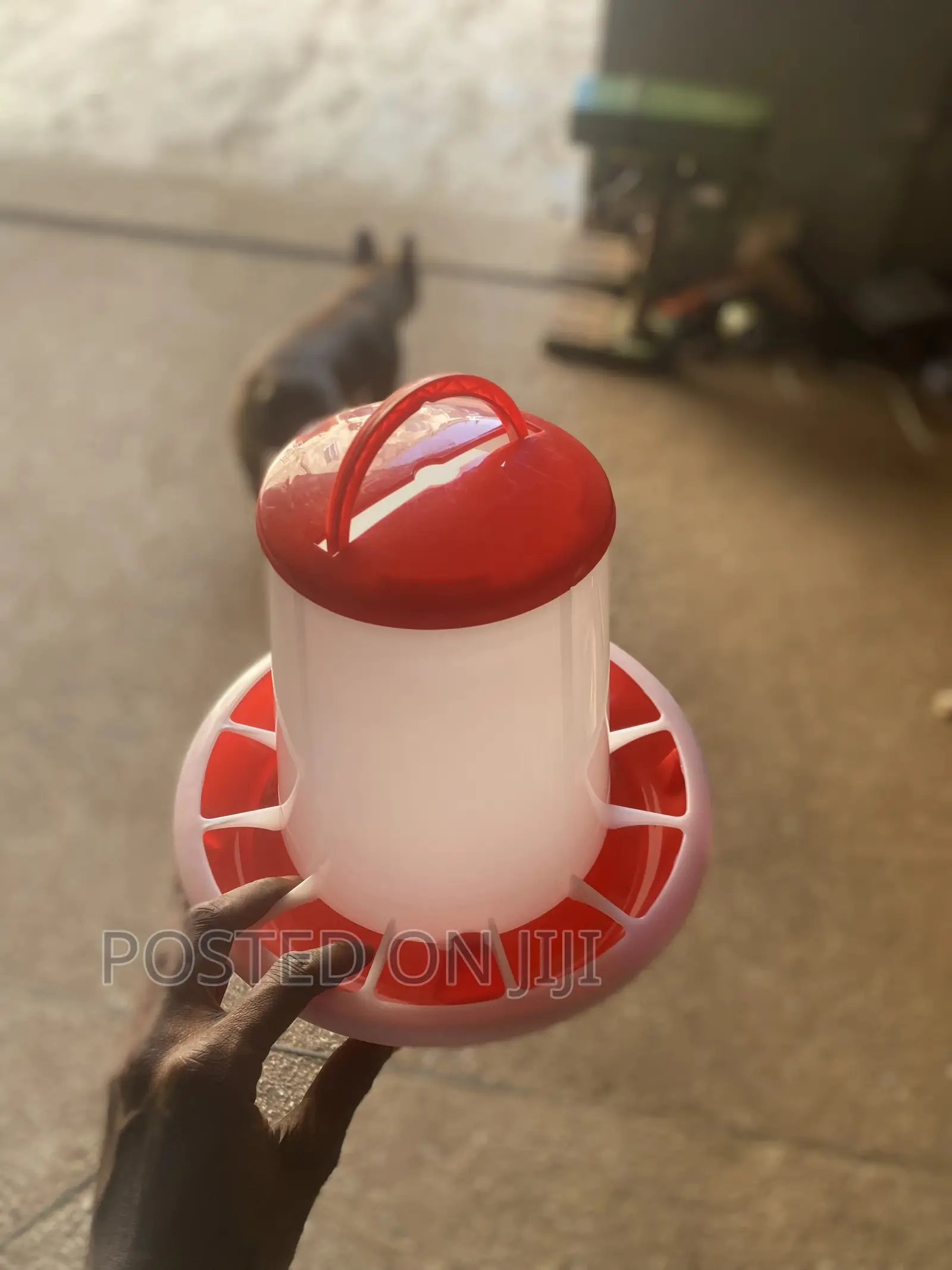 Poultry Drinkers and Feeders (1,3,6,10,12kg/L)