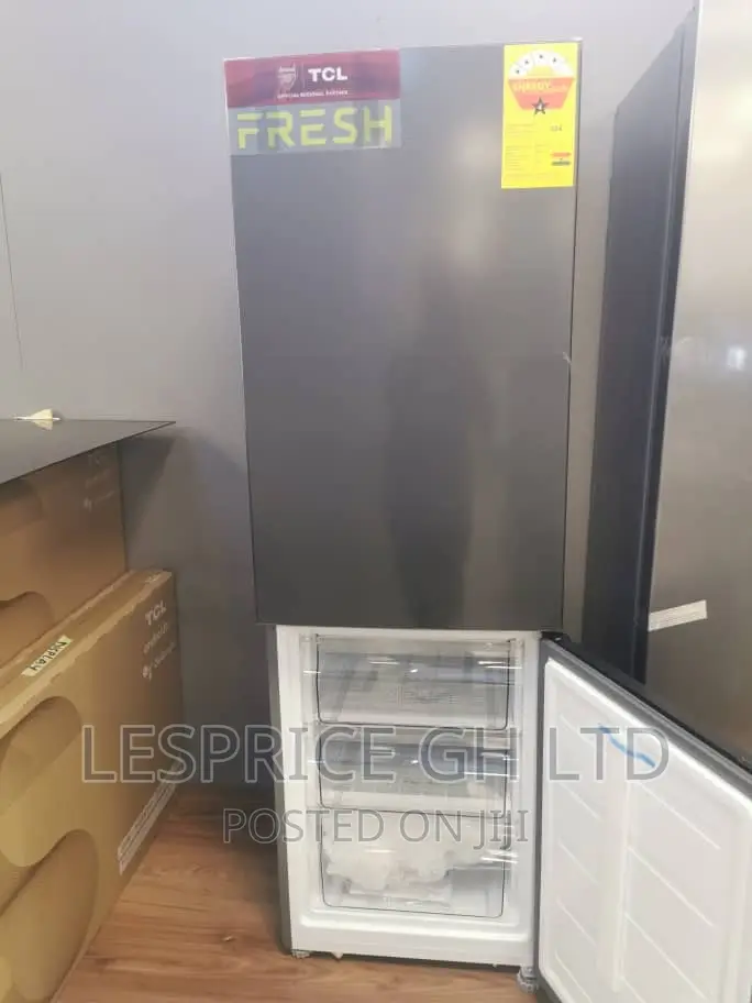 Frost Free TCL 231L Double Door Fridge