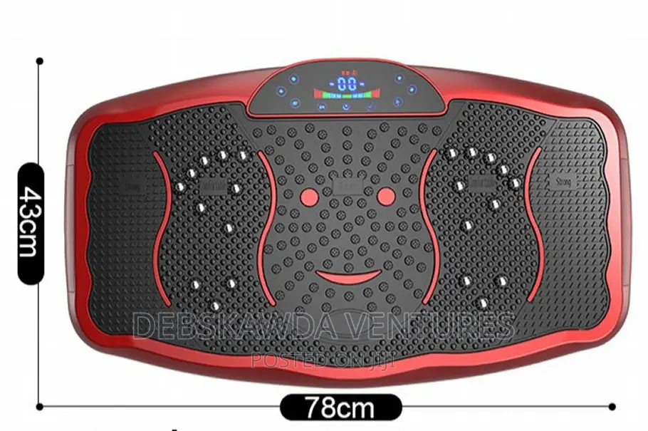 Vibration Plate Machine (Big Size)