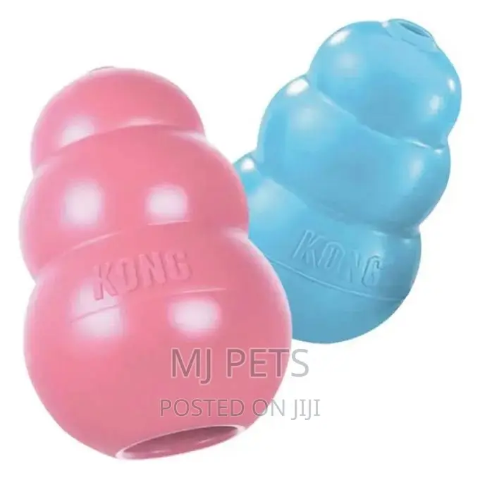 Kong Play Toy