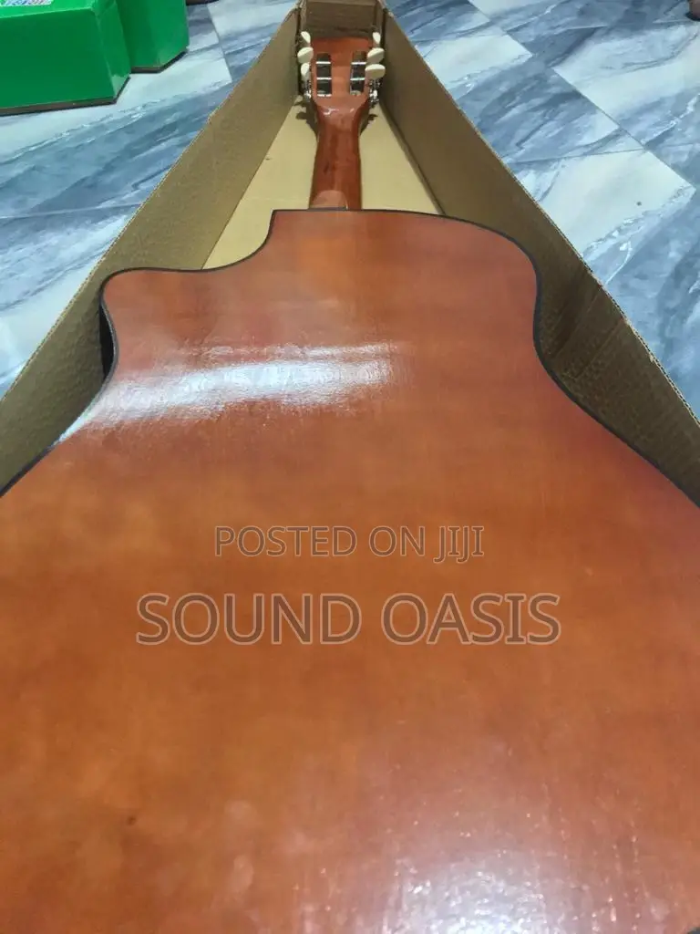 New Learner/Beginner Acoustic Guitar