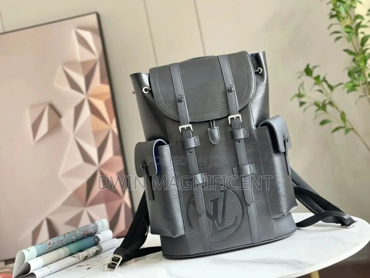 Coach/ Dior /Louis Vuitton and Gucci Backpack