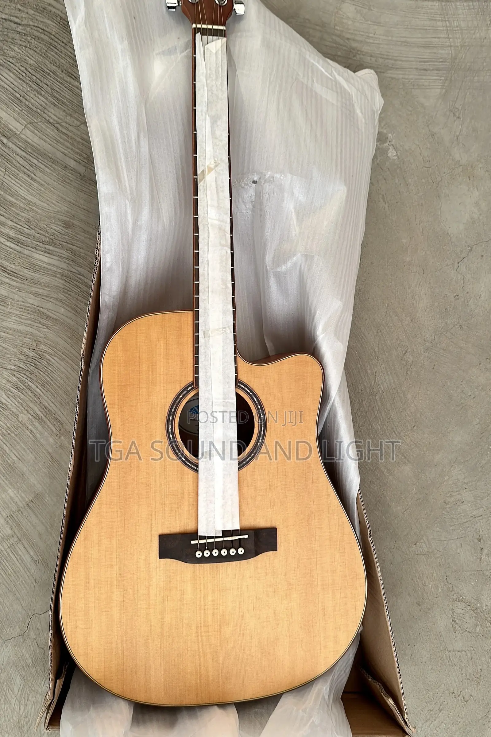 Acoustic Guitar