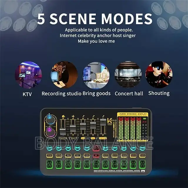 Microphone And Condenser