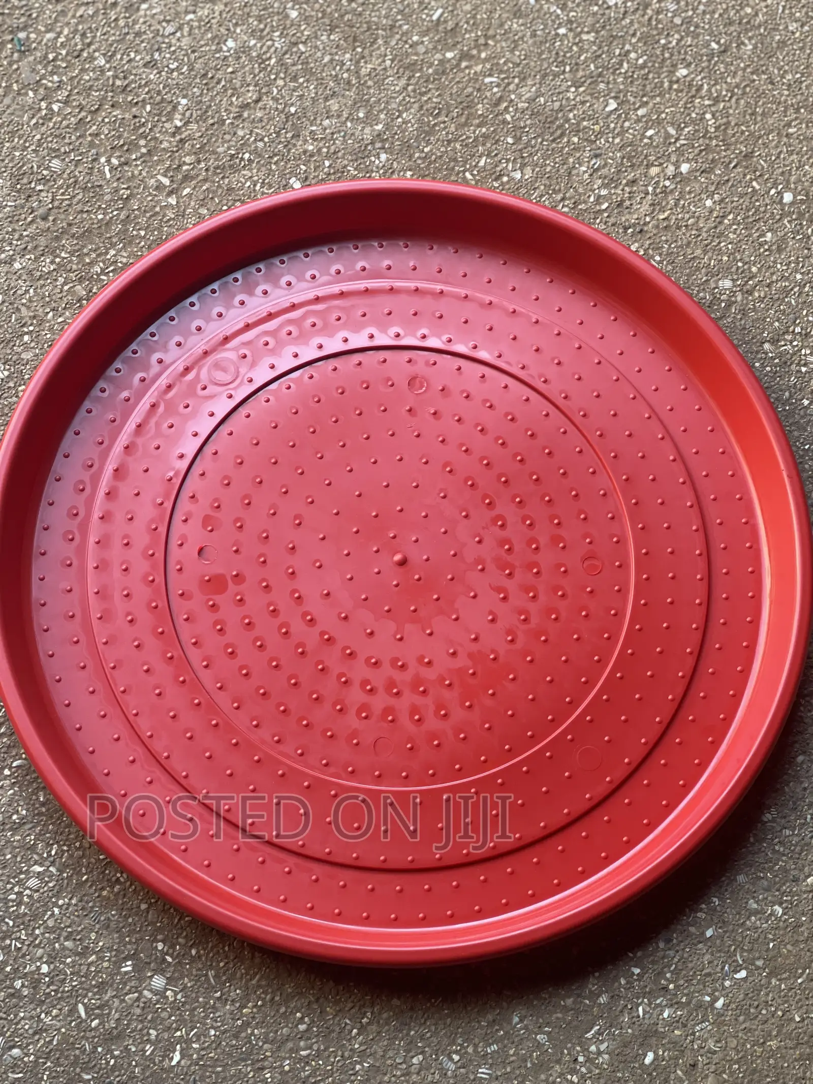 Plate/Chick Feeder