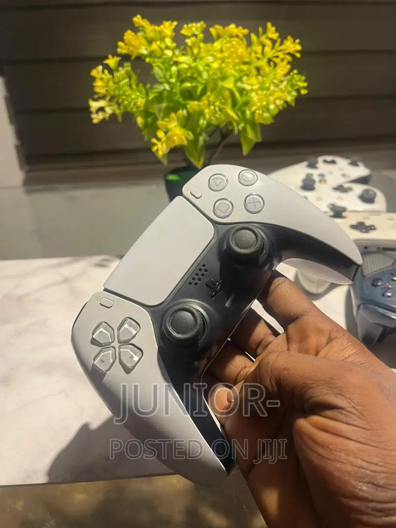 Home Used Ps5 Controller Perfectly Working