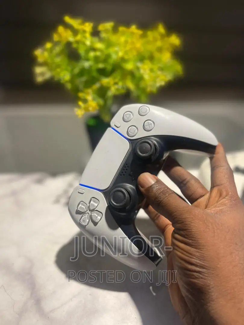 Home Used Ps5 Controller Perfectly Working