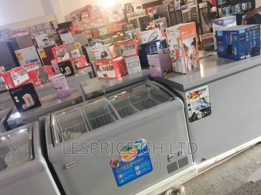 Energy Saving Delron 258L Showcase Freezer