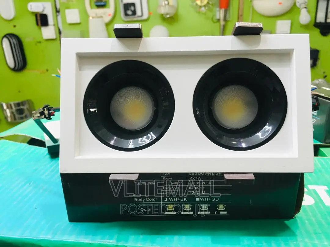 Zj 2X7W LED Down Light