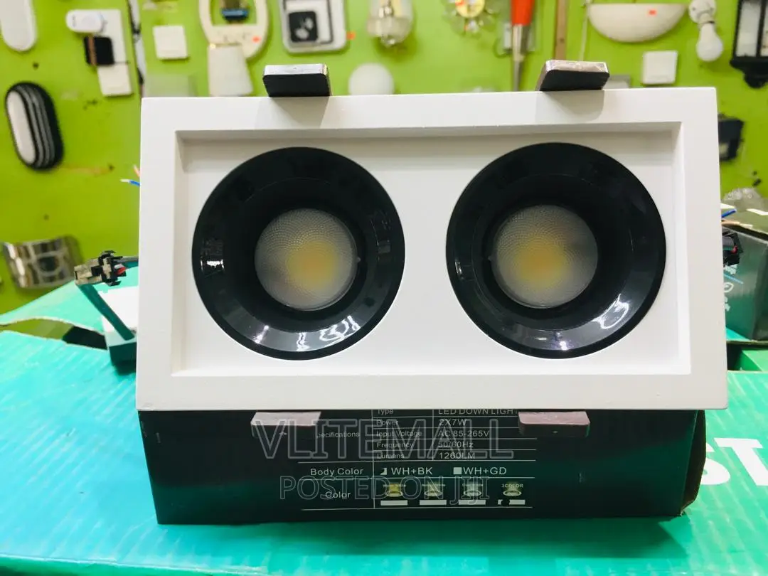 Zj 2X7W LED Down Light