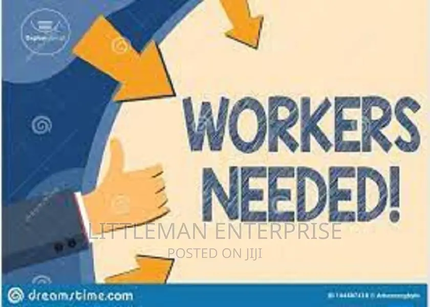 Sales Girl Needed
