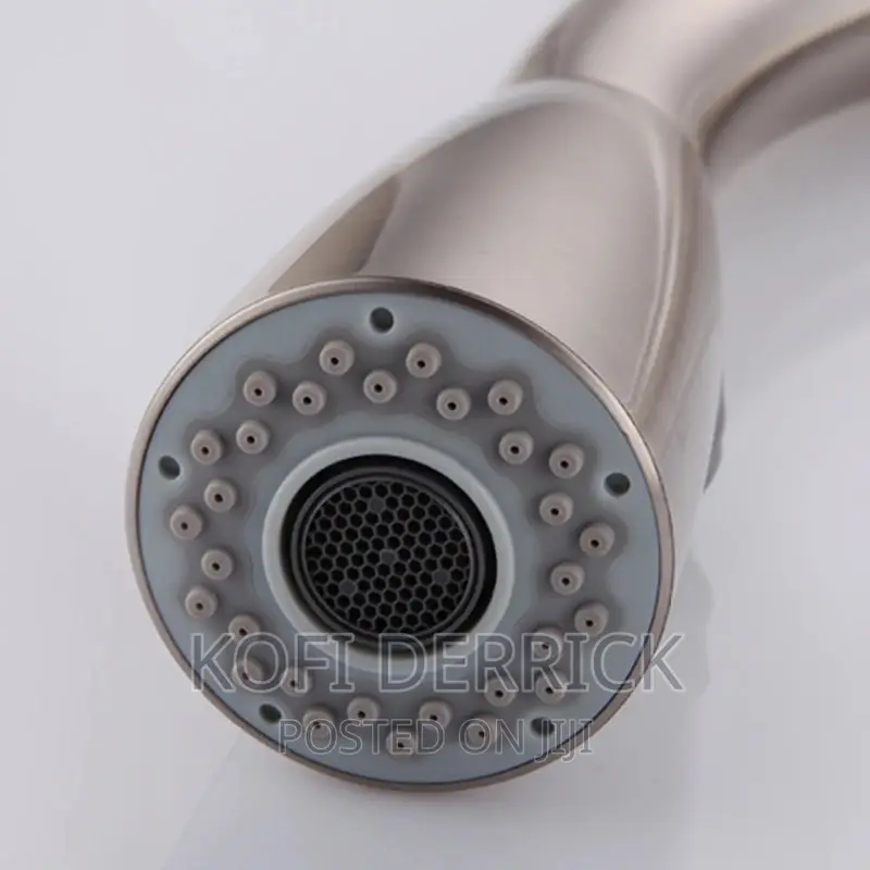 Pullout Tap (Stainless)