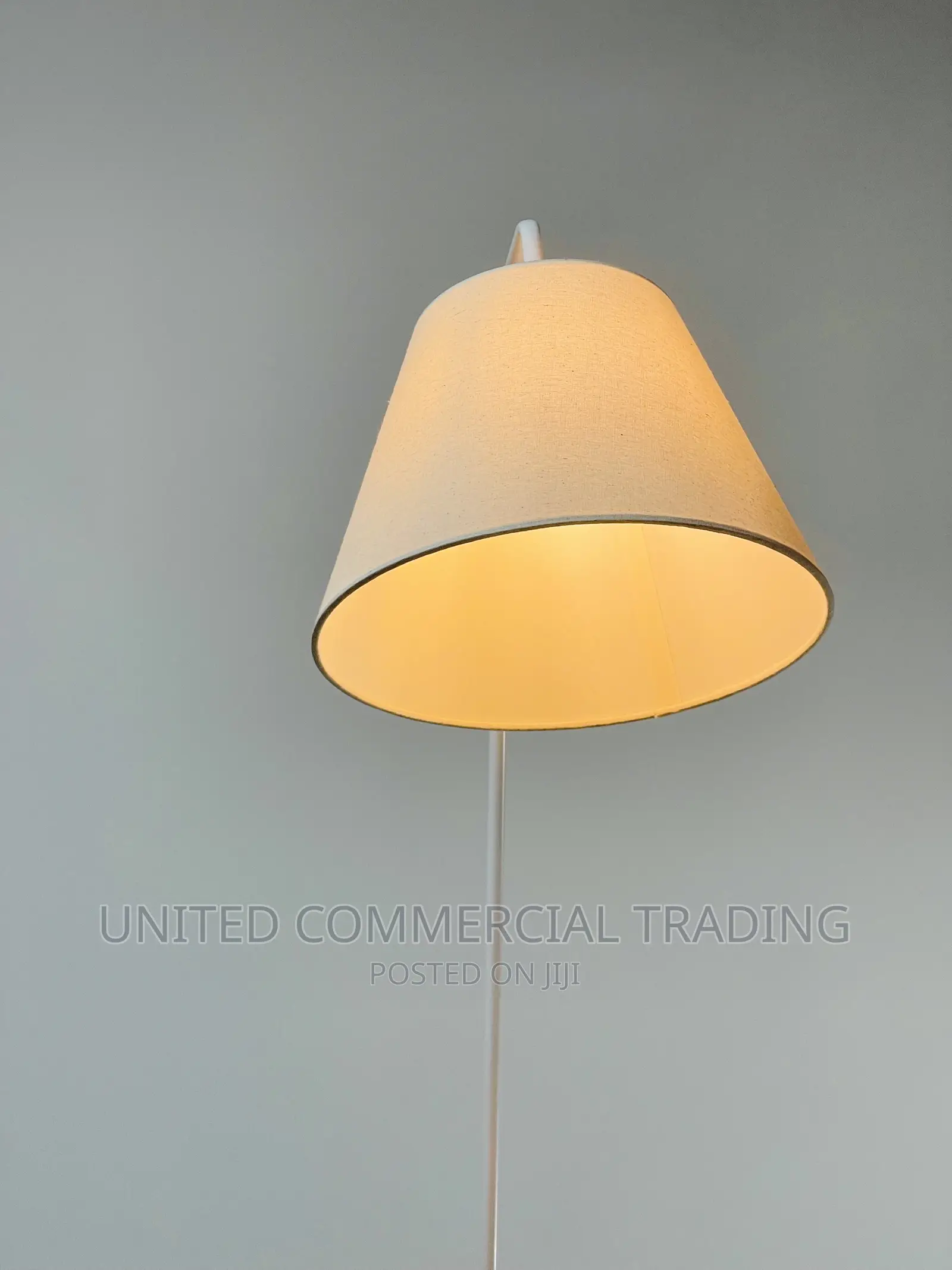 Floor Lamp/ Standing Lamp
