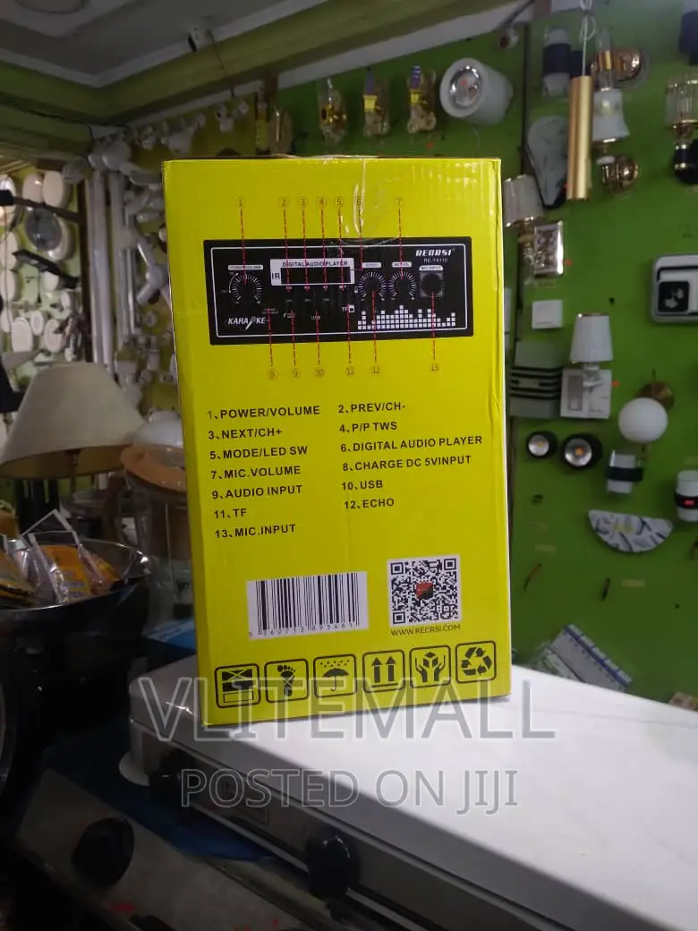 Portable Powerful Speaker System ( RE-YX110 )