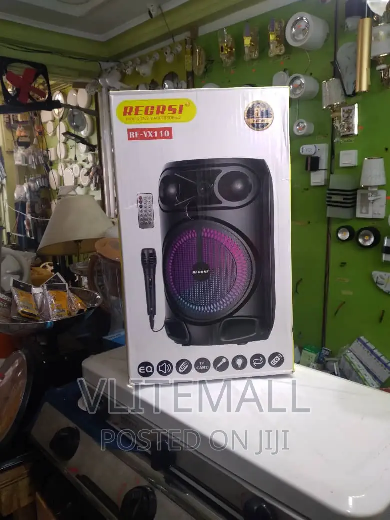 Portable Powerful Speaker System ( RE-YX110 )