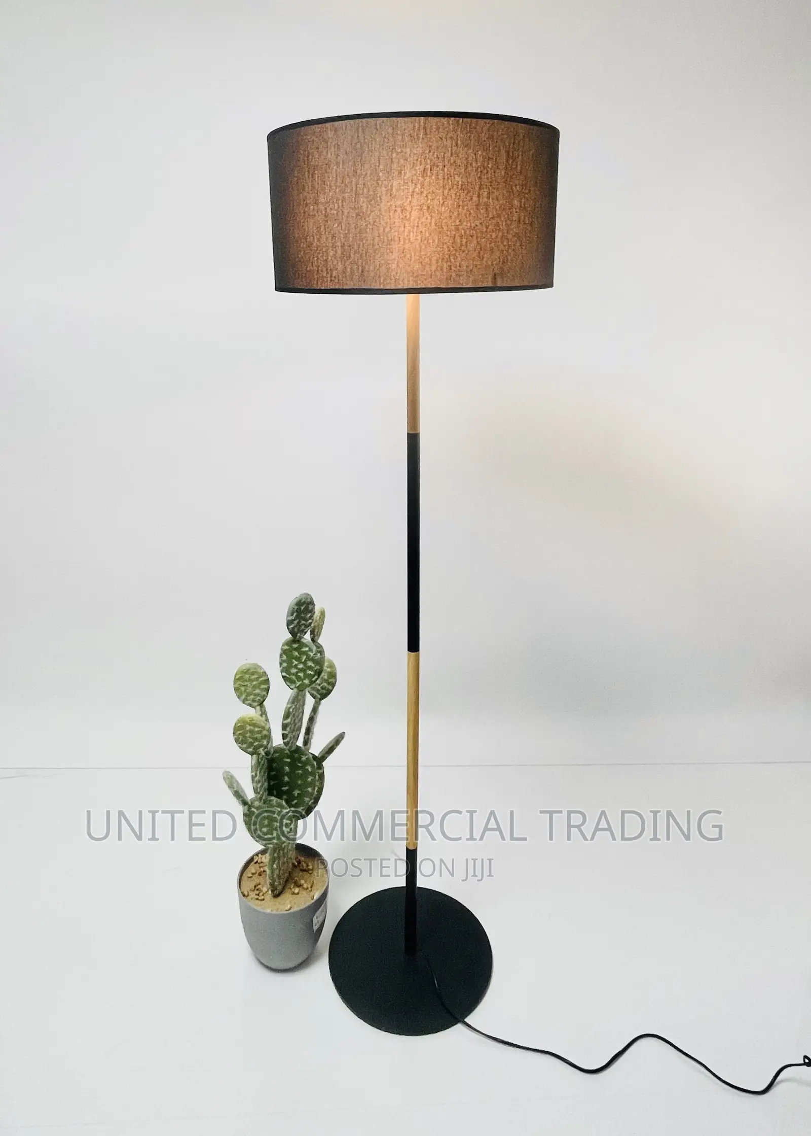 Floor/Standing Lamp