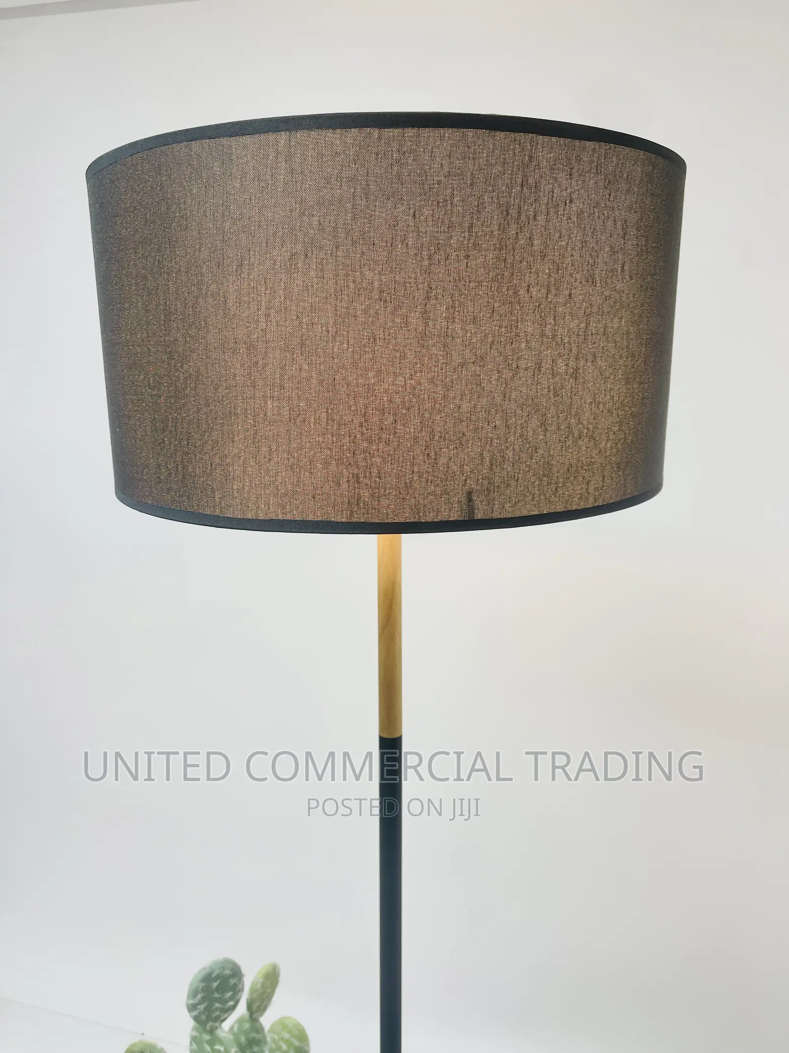 Floor/Standing Lamp