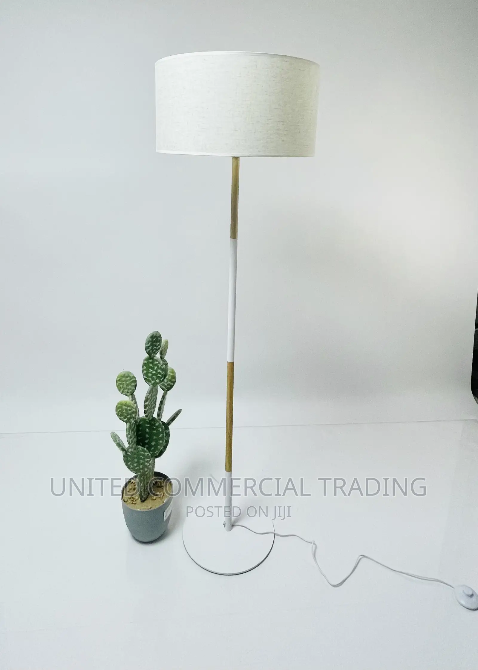 Floor/Standing Lamp