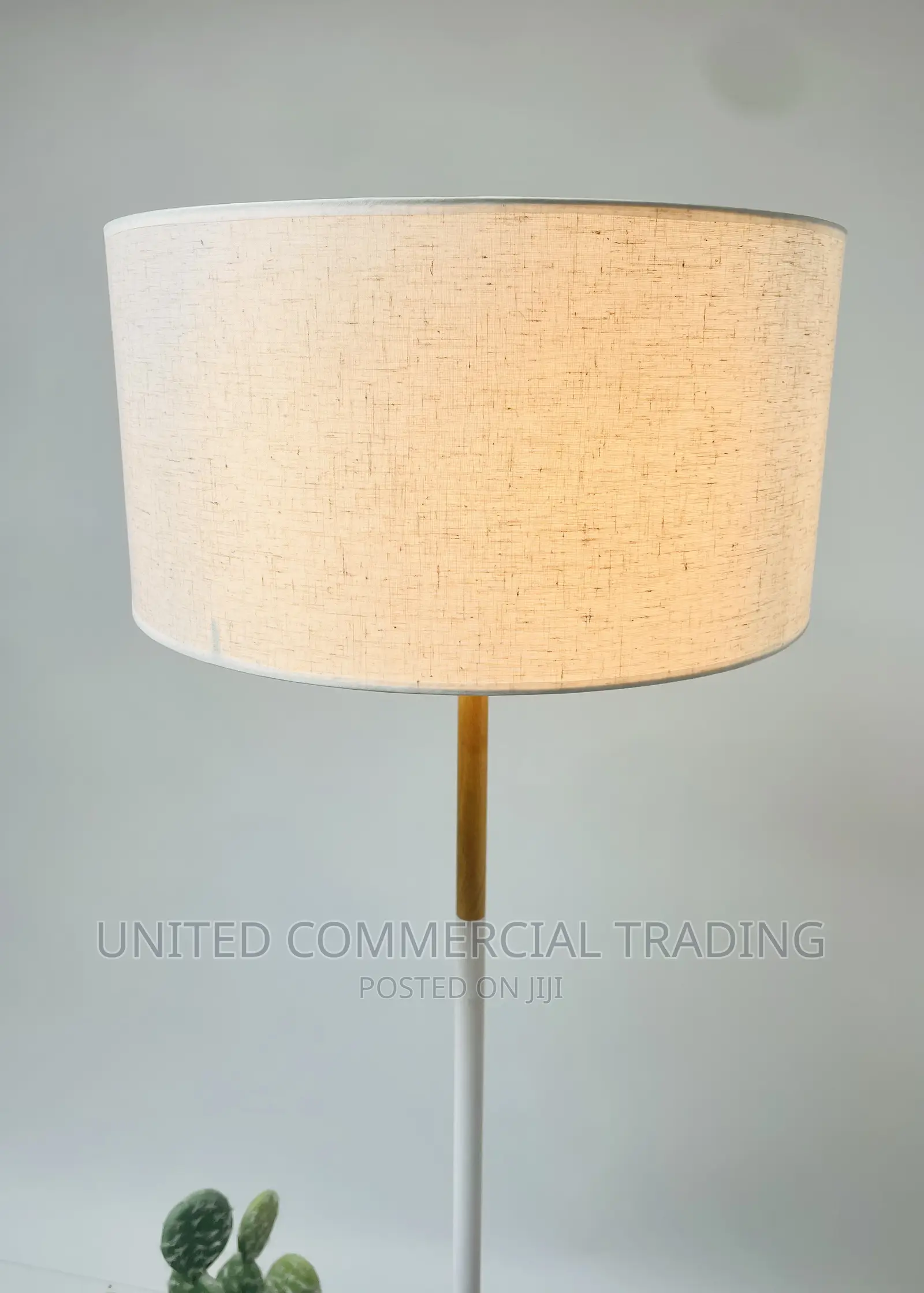 Floor/Standing Lamp