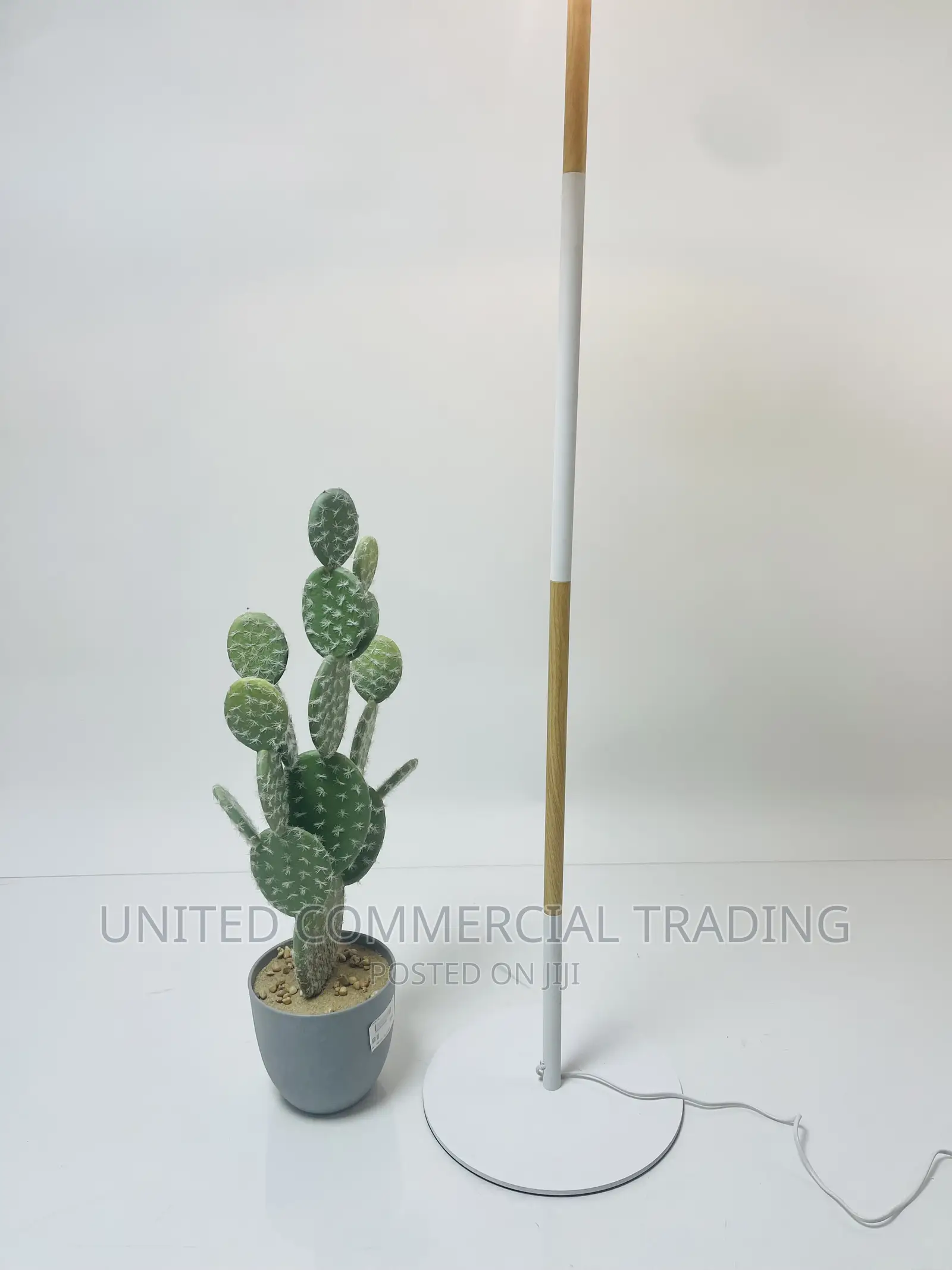 Floor/Standing Lamp