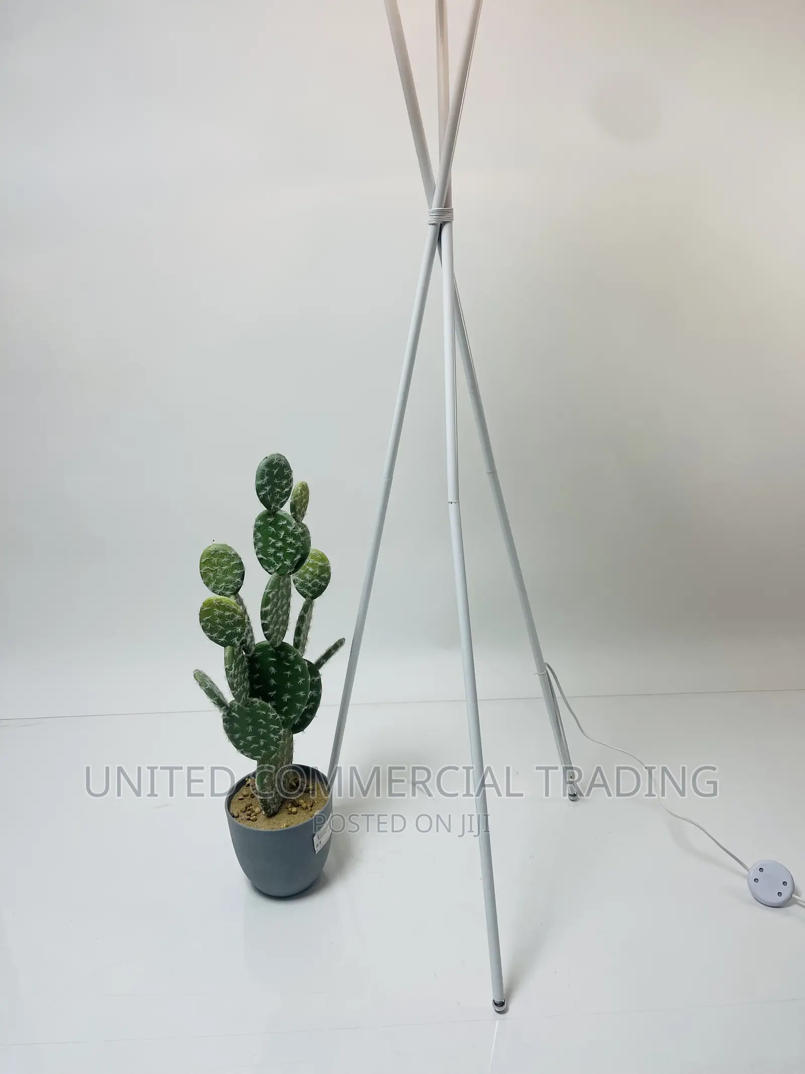 Floor/Standing Lamp