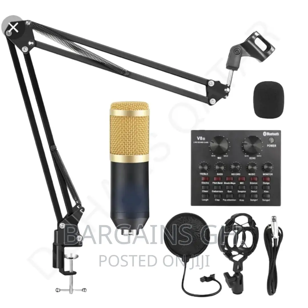 Professional Condenser Microphone Full Kit