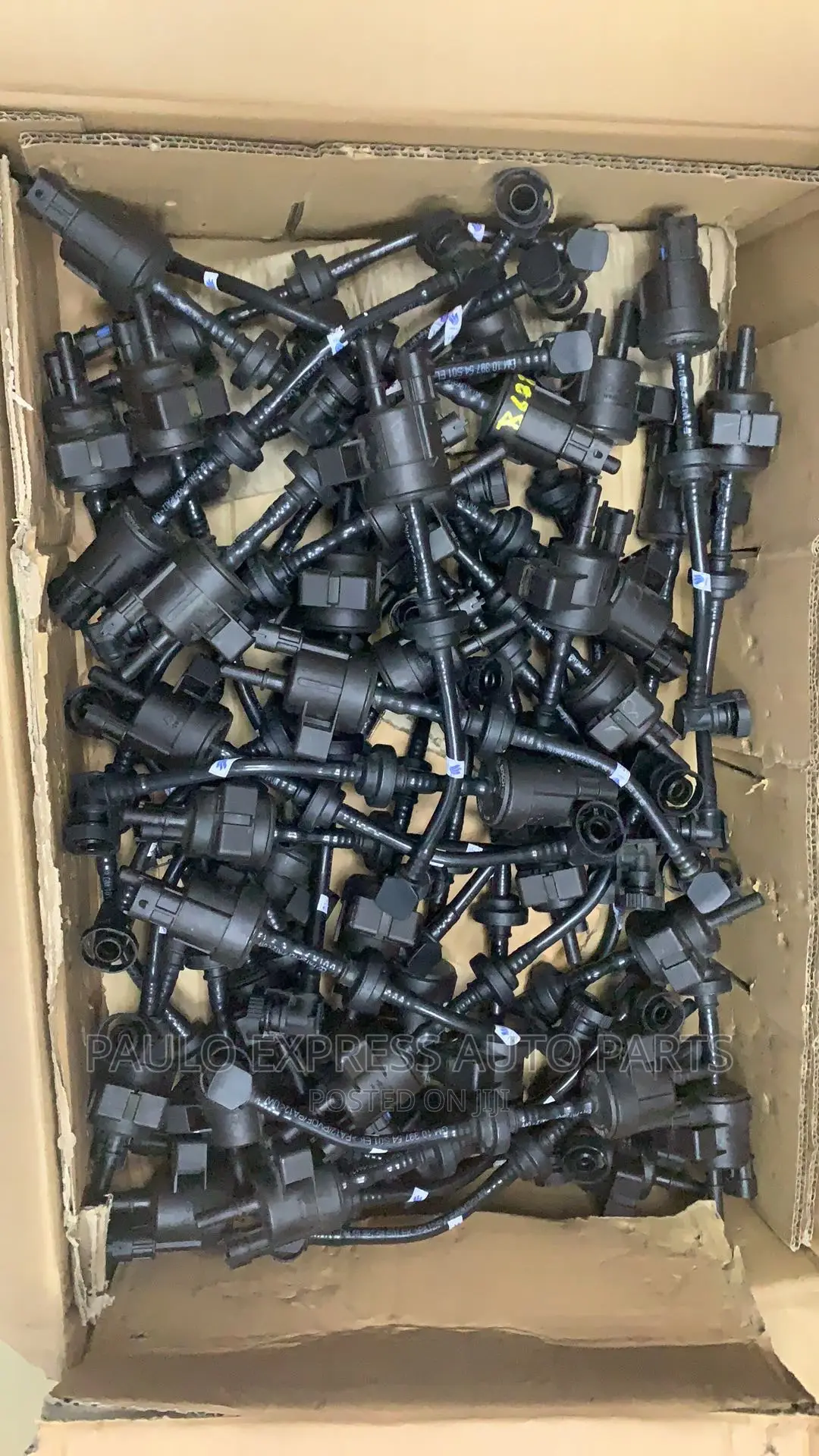 Chevrolet Cruze Purge Valve